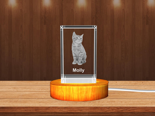 Personalized 3D Crystal Gifts  for Pet Lovers