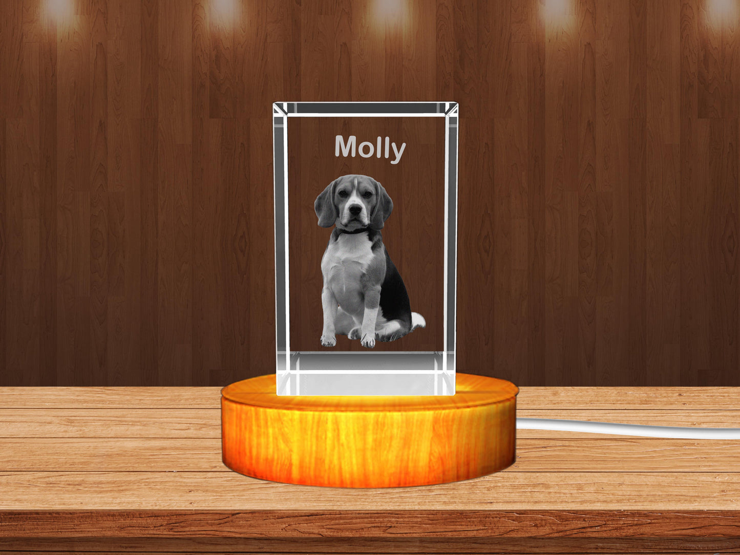 Personalized 3D Crystal Gifts  for Pet Lovers