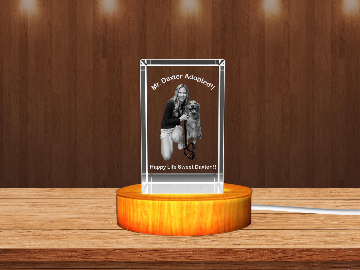 Personalized 3D Crystal Gifts for Pet Lovers – Featuring Girls and Their Beloved Pets!