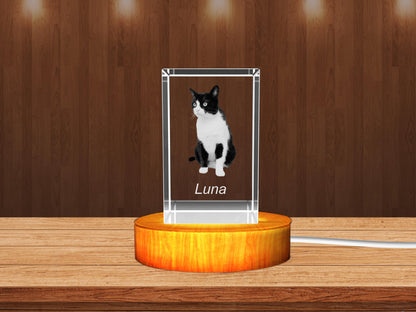 The Ultimate Keepsake: 3D Crystal Gifts for Pet Lovers