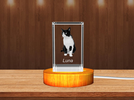 Personalized 3D Crystal Gifts  for Pet Lovers