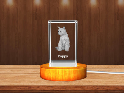 Personalized 3D Crystal Gifts  for Pet Lovers