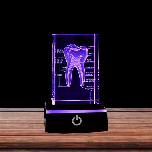 3D Human Teeth Crystal LED Night Light - 3DGiftly