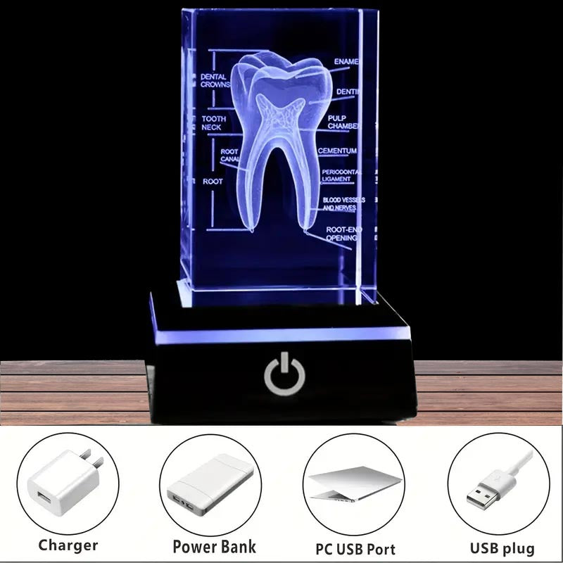 3D Human Teeth Crystal LED Night Light - 3DGiftly