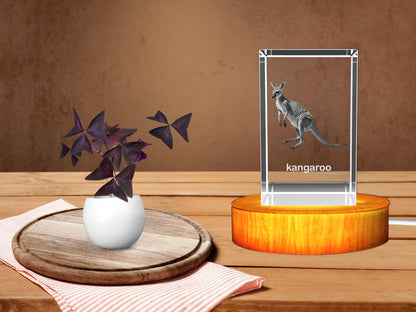 Australian Kangaroo 3D Crystal Figurine with LED Base - 3DGiftly