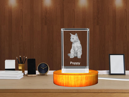 Personalized 3D Crystal Gifts  for Pet Lovers