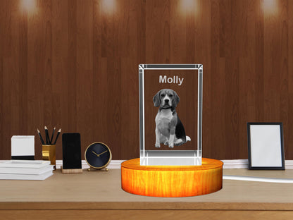 Personalized 3D Crystal Gifts  for Pet Lovers