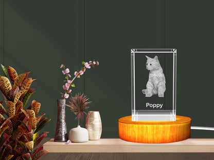 Personalized 3D Crystal Gifts  for Pet Lovers