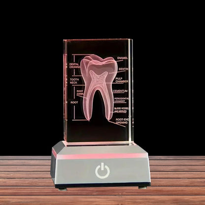 3D Human Teeth Crystal LED Night Light - 3DGiftly