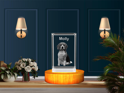 Personalized 3D Crystal Gifts  for Pet Lovers