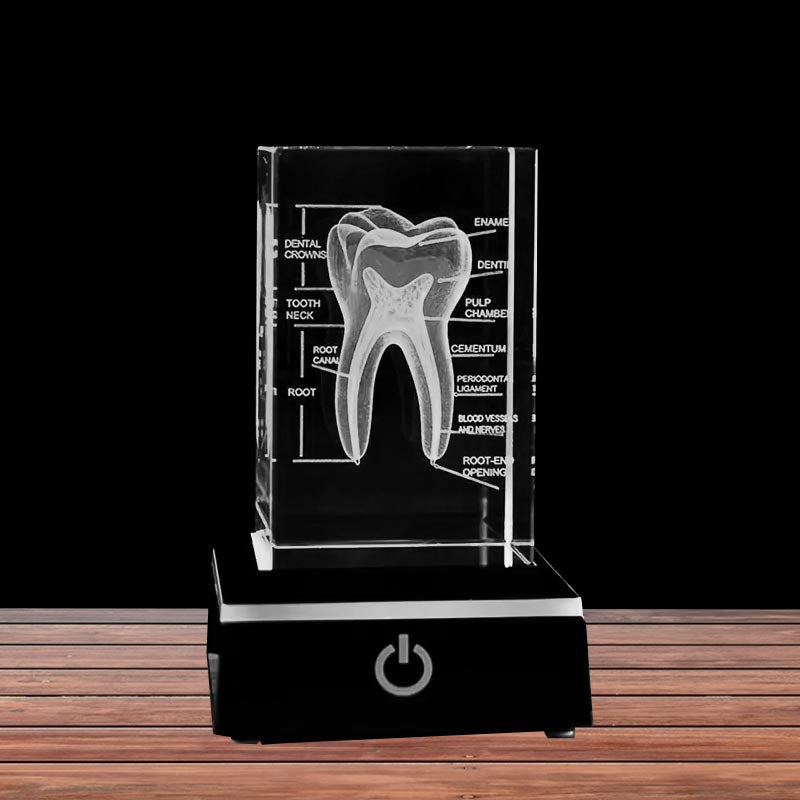 3D Human Teeth Crystal LED Night Light - 3DGiftly