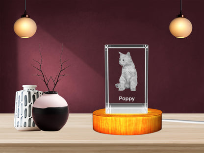 Personalized 3D Crystal Gifts  for Pet Lovers