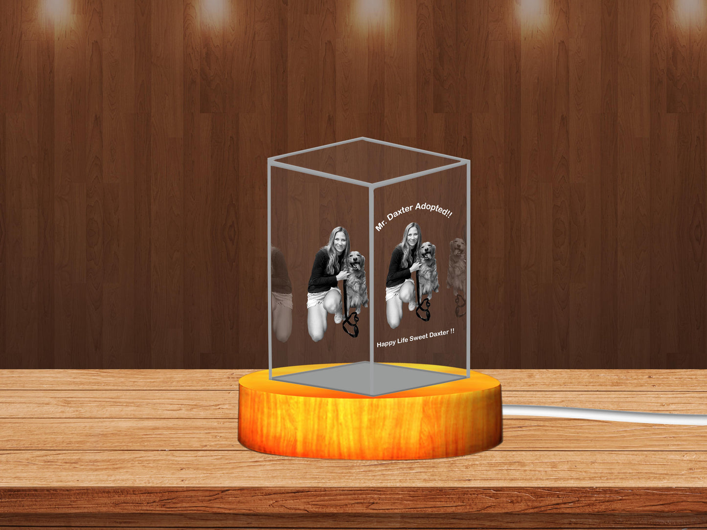 Personalized 3D Crystal Gifts for Pet Lovers – Featuring Girls and Their Beloved Pets!