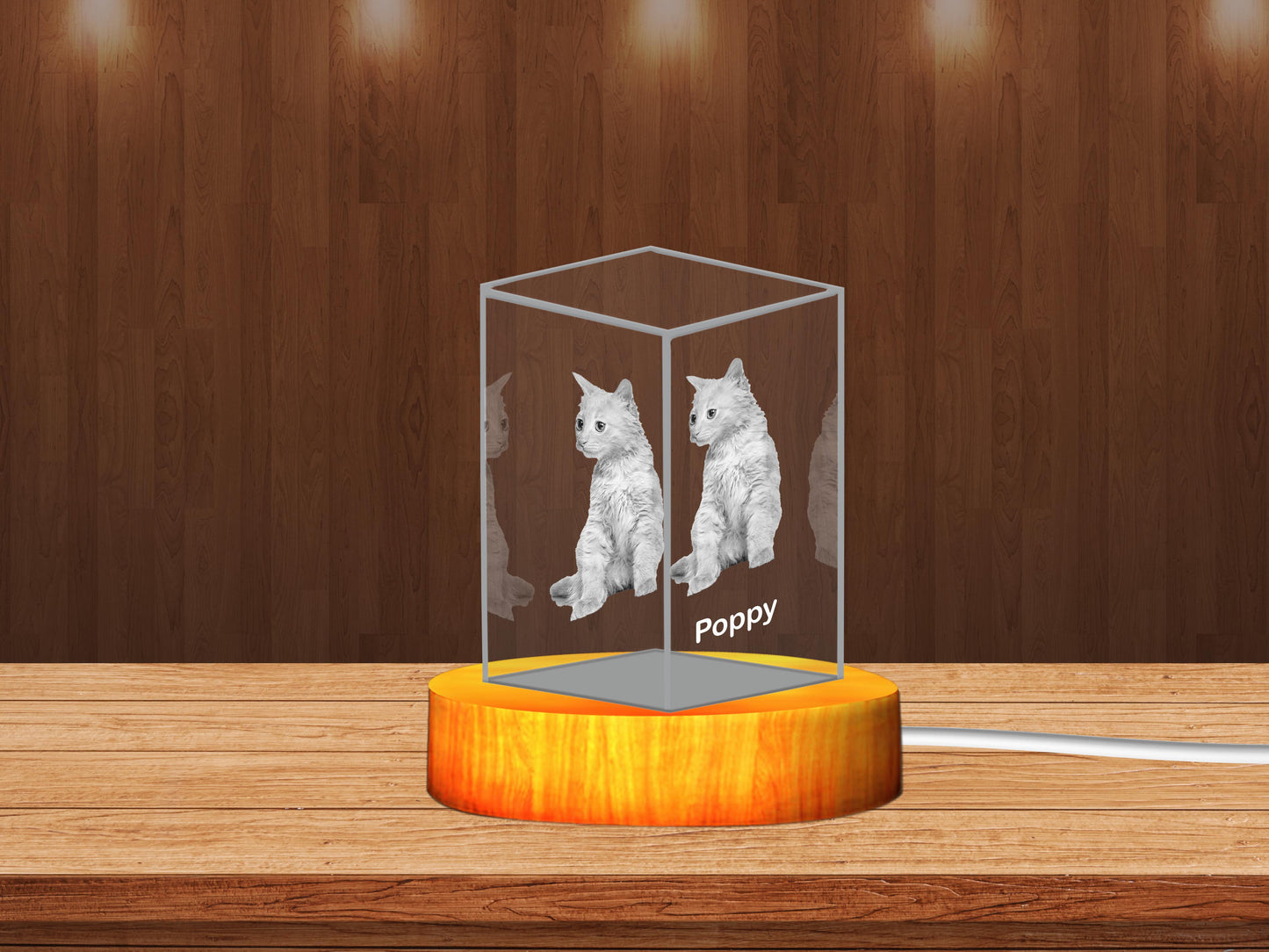 Personalized 3D Crystal Gifts  for Pet Lovers