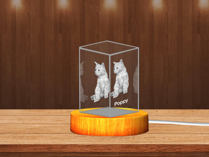 Personalized 3D Crystal Gifts  for Pet Lovers