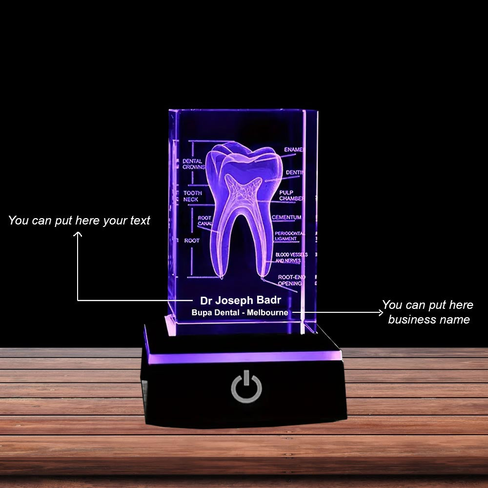 3D Human Teeth Crystal LED Night Light - 3DGiftly