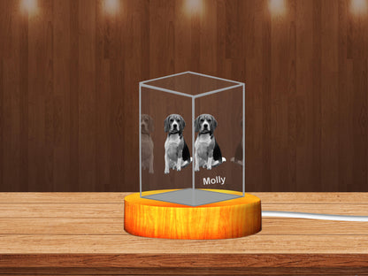 Personalized 3D Crystal Gifts  for Pet Lovers